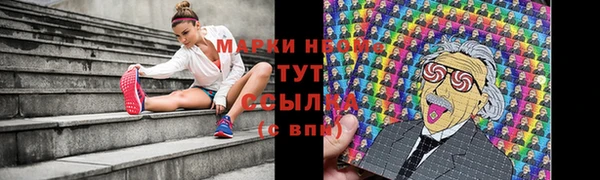 индика Осташков