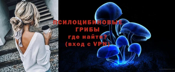 мяу мяу мука Алексин